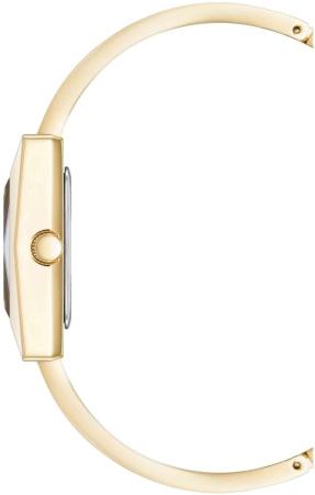 Часы наручные Anne Klein AK/5062GPBK