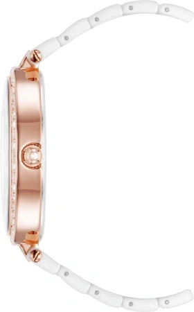 Часы наручные Anne Klein AK/3900RGWT