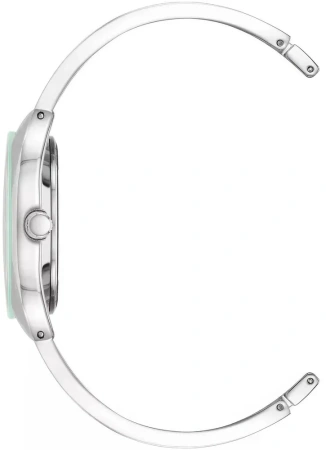 Часы наручные Anne Klein AK/4041MINT