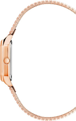 Часы наручные Anne Klein AK/3980RGRG