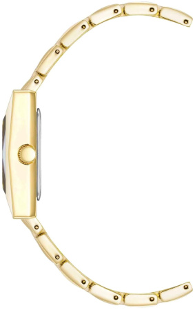 Часы наручные Anne Klein AK/5072BKGB Часы наручные Anne Klein AK/5072BKGB
