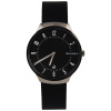 Часы наручные Skagen SKW6459