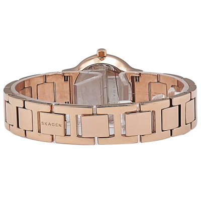 Часы наручные Skagen SKW2791