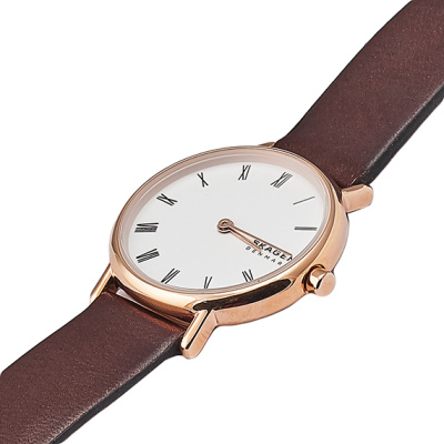 Часы наручные Skagen SKW2760