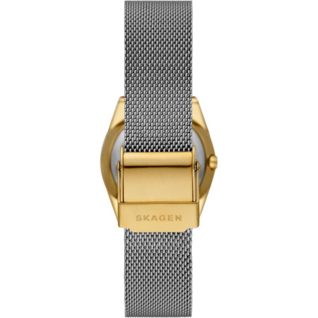 Часы наручные Skagen SKW3051