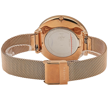 Часы наручные Skagen SKW2688