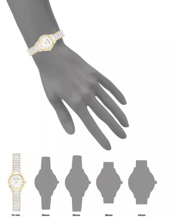 Часы наручные Anne Klein AK/3801WTTT