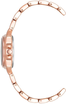 Часы наручные Anne Klein AK/4166WTRG