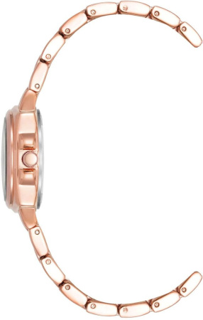 Часы наручные Anne Klein AK/4166WTRG