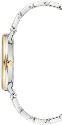 Часы наручные Anne Klein AK/3751SVTT