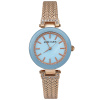Часы наручные Anne Klein AK/1906LBRG