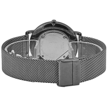 Часы наручные Skagen SKW6445 Часы наручные Skagen SKW6445