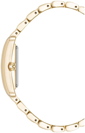 Часы наручные Anne Klein AK/5060BKGB