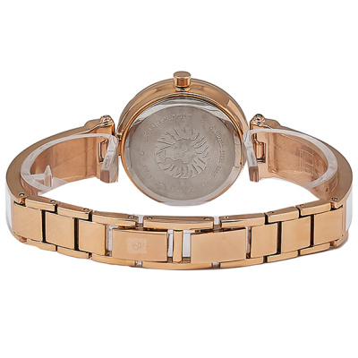 Часы наручные Anne Klein AK/1980WTRG