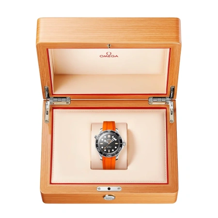 Часы наручные omega 21032422001006