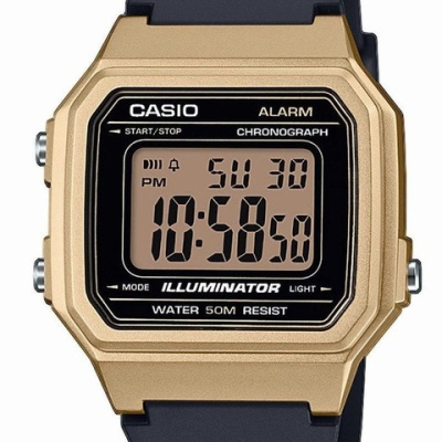 Часы наручные Casio W-217HM-9AVEF