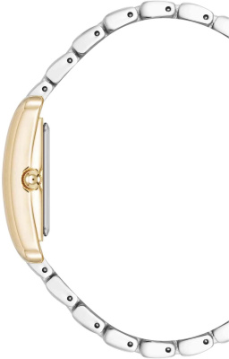 Часы наручные Anne Klein AK/5061SVTT