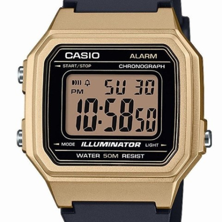 Часы наручные Casio W-217HM-9AVEF