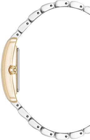 Часы наручные Anne Klein AK/5061SVTT