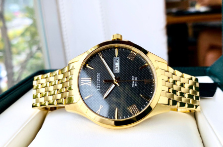 Часы наручные Citizen BF2022-55H