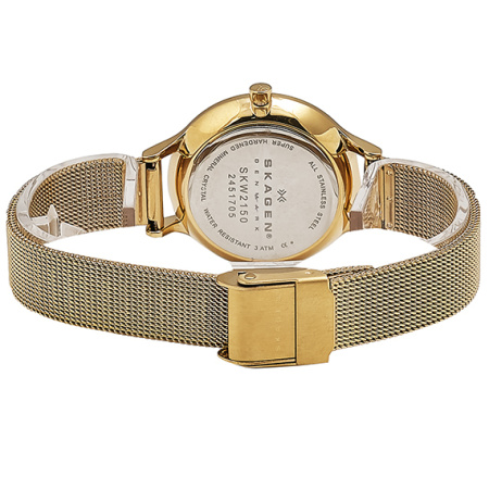 Часы наручные Skagen SKW2150 Часы наручные Skagen SKW2150