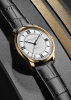 Часы наручные Frederique Constant FC-301S3B5