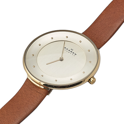 Часы наручные Skagen SKW2138