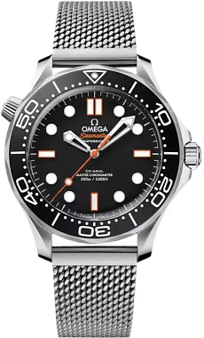 Часы наручные Omega 21030422001018 