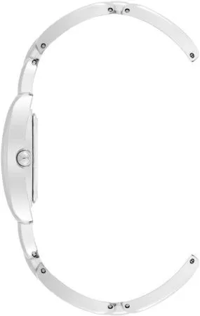 Часы наручные Anne Klein AK/4095SVSV