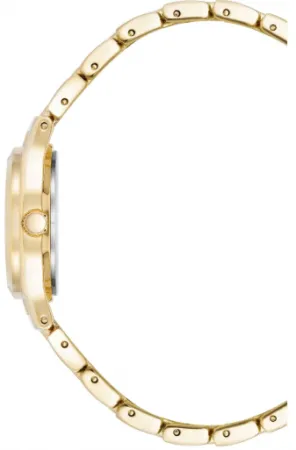 Часы наручные Anne Klein 10/5490MVGB