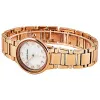 Часы наручные Anne Klein AK/3604MPRG
