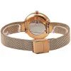 Часы наручные Skagen SKW2593