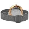Часы наручные Skagen SKW2584