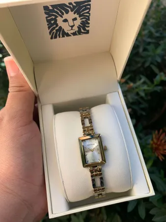 Часы наручные Anne Klein 10/4899SVTT