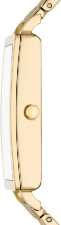 Часы наручные Skagen SKW3098