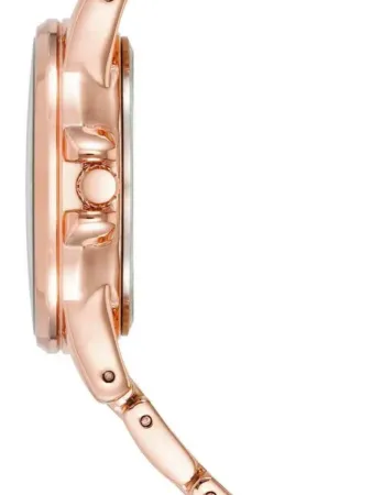 Часы наручные Anne Klein AK/4132BLRG 