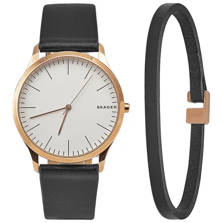 Часы наручные Skagen SKW1102