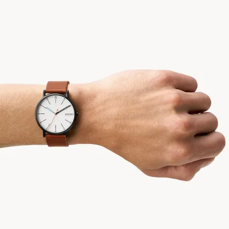 Часы наручные Skagen SKW6374 