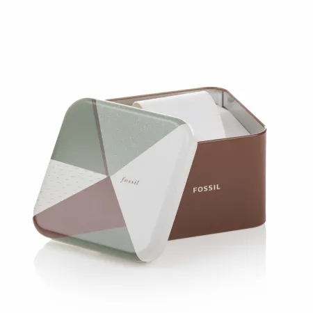 Часы наручные Fossil FS4813