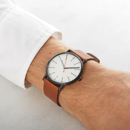 Часы наручные Skagen SKW6374 