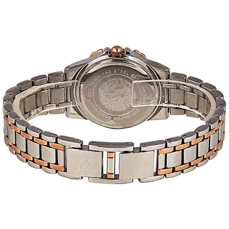 Часы наручные Anne Klein AK/3483SVRT