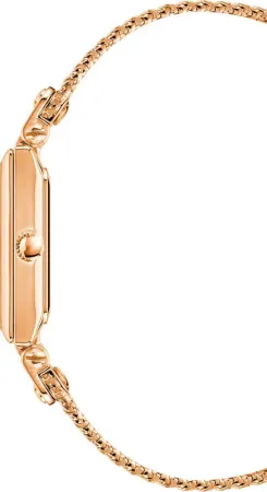 Часы наручные Anne Klein AK/3882RGRG