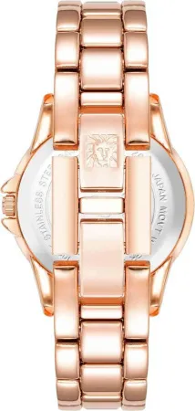 Часы наручные Anne Klein AK/4132BLRG 