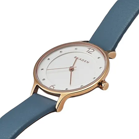 Skagen skw2497 store