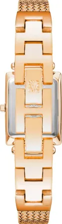 Часы наручные Anne Klein AK/3882RGRG