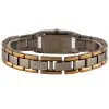 Часы наручные Anne Klein 10/6419SVTT