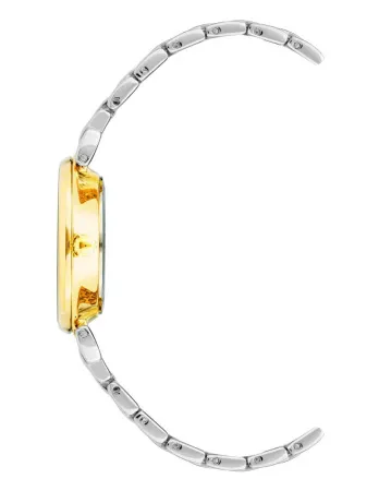 Часы наручные Anne Klein AK/2159MVTT