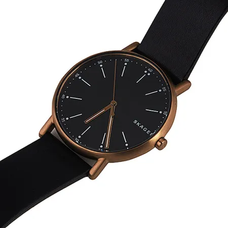Часы наручные Skagen SKW6401