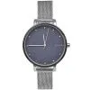Часы наручные Skagen SKW2582