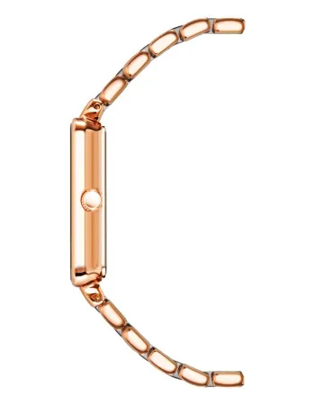 Часы наручные Anne Klein AK/3668NVRG